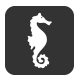 seahorse-icon-2.png